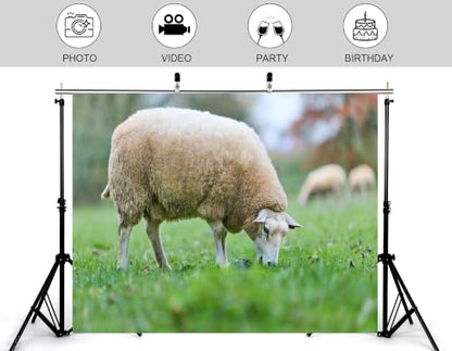 6x4ft Fabric White Wool Sheep Backdrop Green Grass Dry Leaf Blurred Garden Wildlife Photography Tapestry Party Pasture Decorations Photo Booth Props - size: 6x4ft