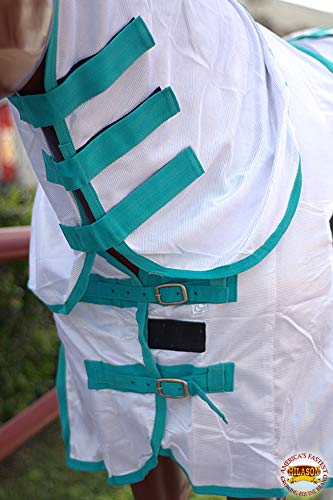 HILASON Horse Fly Sheet Breathable Mesh UV Protection Mosquito Bug Summer - color: White With Turquoise Piping, size: 75 In
