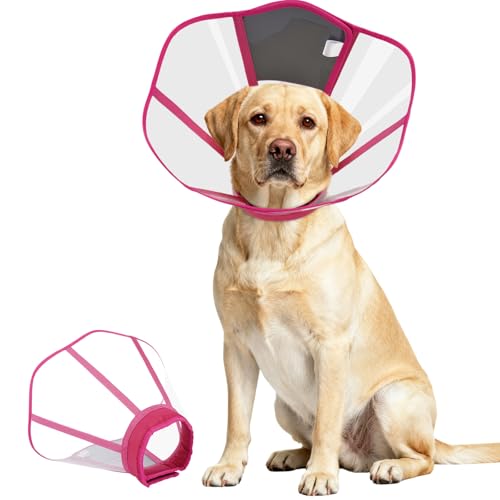 Dog Cone Collar – Comfortable Post-Surgery Recovery Collar - color: Rose Red, size: Large
