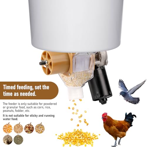 Automatic Chicken Feeder with Timer, Duck Feeder