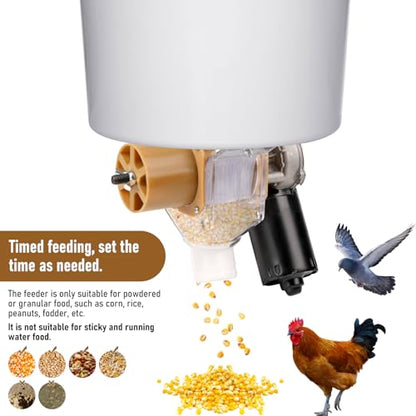 Automatic Chicken Feeder with Timer, Duck Feeder