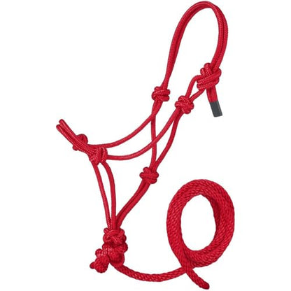 Tough1 Miniature Poly Rope Halter with Lead - color: Red, size: Small