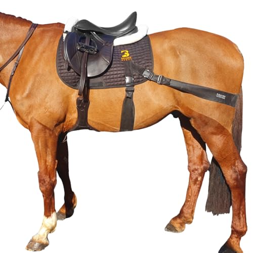 Core Conditioning Saddle Pad & Band System for Horses - style: Pony