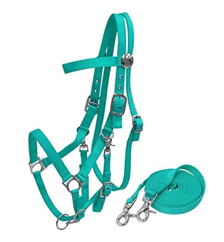Nylon Combination Halter Bridle w/Reins - color: Teal