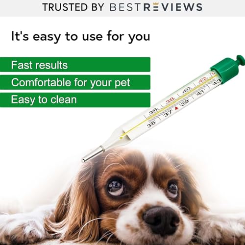 Pet Temperature Meter with Stretch Cord and Tail Clip