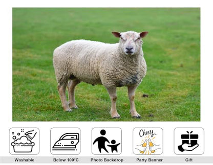 7x5ft Fabric White Wool Sheep Backdrop Fresh Green Grass Pasture Farm Animal Photography Background Tapestry Party Farm Decorations Photo Booth Props - size: 7x5ft