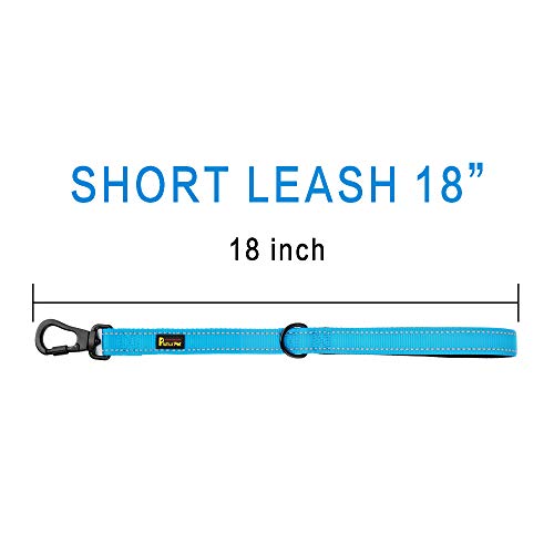 PLUTUS PET Short Training Dog Leash with Padded Handle for Medium Large Big Dogs,18 Inch Heavy Duty Strong Traffic Leash with Carabiner Clip for Climbing Walking or Guiding Blind（18”，Blue | Reflective, Heavy Duty Strong Nylon, Traffic Leash with Carabiner