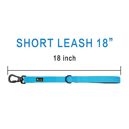 PLUTUS PET Short Training Dog Leash with Padded Handle for Medium Large Big Dogs,18 Inch Heavy Duty Strong Traffic Leash with Carabiner Clip for Climbing Walking or Guiding Blind（18”，Blue | Reflective, Heavy Duty Strong Nylon, Traffic Leash with Carabiner
