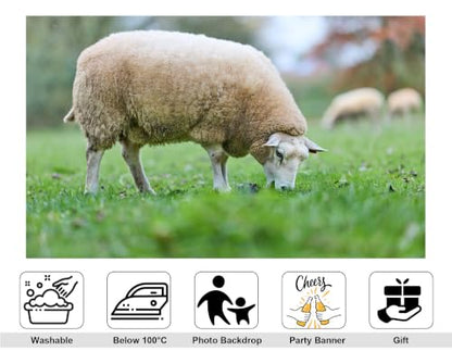 17x10ft Fabric White Wool Sheep Backdrop Green Grass Dry Leaf Blurred Garden Wildlife Photography Tapestry Party Pasture Decorations Photo Booth Props - size: 17x10ft