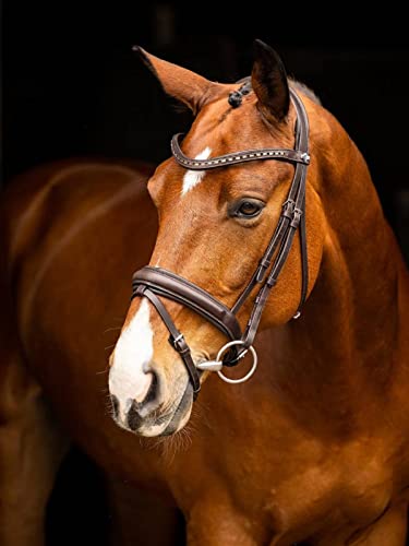 LeMieux Arika Dressage Bridle - color: Black/Silver, size: Pony