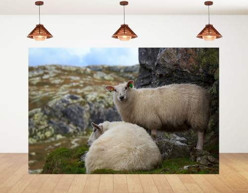 6x4ft Fabric Highland Sheep Backdrop Two Fluffy White Wool Sheep Mossy Grey Rock Grass Hill Countryside Photography Background Tapestry Party Farm Animal Decorations Photo Booth Props - size: 6x4ft