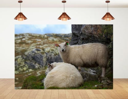 6x4ft Fabric Highland Sheep Backdrop Two Fluffy White Wool Sheep Mossy Grey Rock Grass Hill Countryside Photography Background Tapestry Party Farm Animal Decorations Photo Booth Props - size: 6x4ft