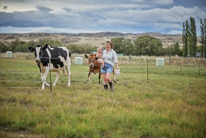 Gallagher Smart Fence 2 Portable Electric Fence for Livestock | 328ft of 4-Strand Electric Fencing, Built-In Posts and Reels, Quick Install Temporary Field Fencing