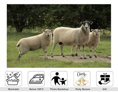 5x3ft Fabric Three Wool Sheep Backdrop White Fluffy Sheep Dark Leaf Tree Green Pasture Rural Farm Photography Background Tapestry Farm Animal Decor Photo Booth Props - size: 5x3ft