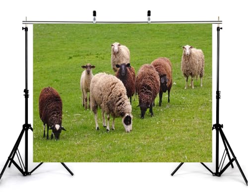 4x4ft Fabric Herd Sheep Green Meadow Backdrop Mixed Wool Sheep Lush Fresh Grass Pasture Bright Overcast Sky Photography Background Tapestry Farm Animal Decorations Photo Booth Props - size: 4x4ft