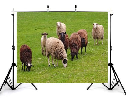 4x4ft Fabric Herd Sheep Green Meadow Backdrop Mixed Wool Sheep Lush Fresh Grass Pasture Bright Overcast Sky Photography Background Tapestry Farm Animal Decorations Photo Booth Props - size: 4x4ft