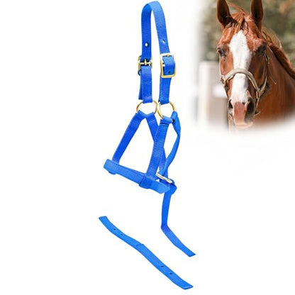 Jeffers Equine Nylon Weanling Halter for Miniature Horses – Adjustable 2 Ply 3/4" Webbing with Brass Plated Hardware, Double Crown Design, Lightweight for Training, Grooming, & Farm Use - Royal Blue - color: Royal Blue