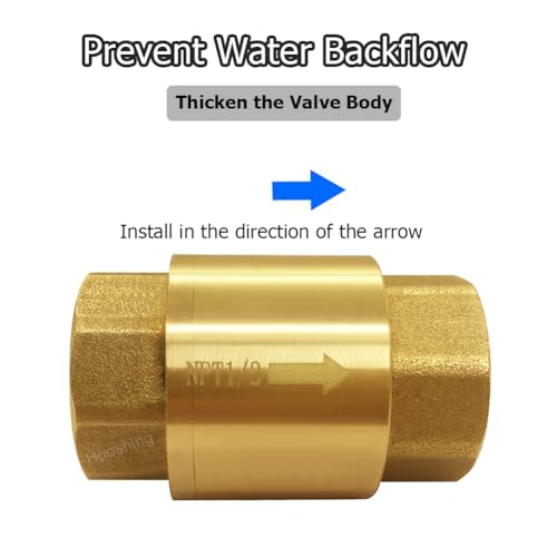 Hooshing 2PCS Spring Check Valve 1/2" NPT Female Thread Backflow Preventer - size: 1/2" NPT
