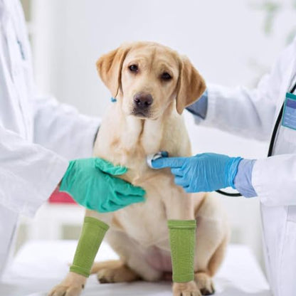 4 PCS Dog Leg Protective Sleeve for Front Rear Legs Prevent Licking - color: Green, size: S-Leg Girth: 2.04in