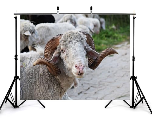 9x6ft Fabric Horned Sheep Portrait Backdrop Curly White Wool Big Brown Horn Rural Dirt Road Green Grass Photography Background Tapestry Party Farm Animal Decorations Photo Booth Props - size: 9x6ft