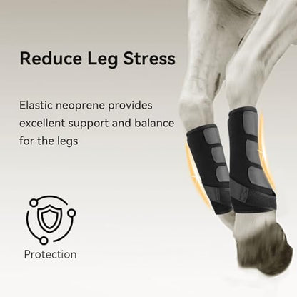 4 Pcs Horse Sport Boots - Neoprene Protective Breathable Comfy Mesh All-Round Lower Limb Protection & Support for Jumping Trail Riding Endurance Training and Performance - size: ‎Medium / Cob