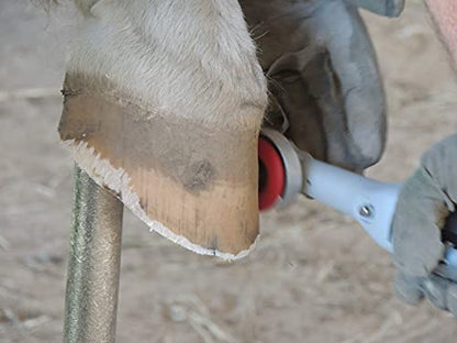 Horse Hoof Trimmers Kit, Basic 110V Electric Set with Supplies | Horse Hoof Trimming Tools, Farrier Tool Kit, Grinder Discs Included, Accessories Included