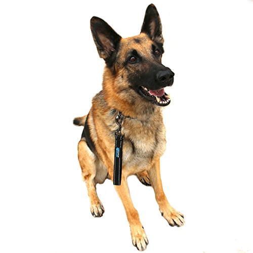 Max and Neo Short Traffic Leash 10" - We Donate One for One a Dog Rescue for Every Leash Sold (Red) - color: RED