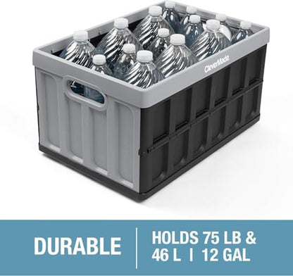 CleverMade Collapsible Storage Bins With Lids, 46L 3 Pack, 75 lb, Obsidian - color: Obsidian, size: 46L - 3 Pack