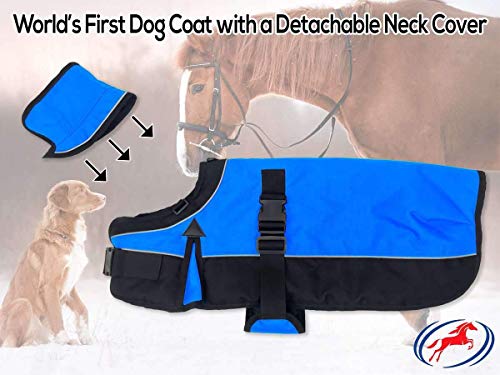 Derby Originals Safety Reflective 1200D Ripstop Waterproof Nylon Winter Dog Coat with Removable Neck Cover and Two Year Warranty - 220g Polyfil Insulation (17", Purple/Grey) - color: Charcoal/Purple, size: 17"