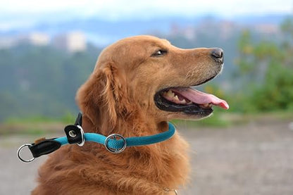 Braided Round Martingale Dog Collar, Training Collar with Slidable Stop Ring and Adjustable Stopper - Ideal for Large Dogs (L(1/2") - 20" Long, Light Blue) - color: Light Blue, size: L(1/2") - 20" Long with stopper