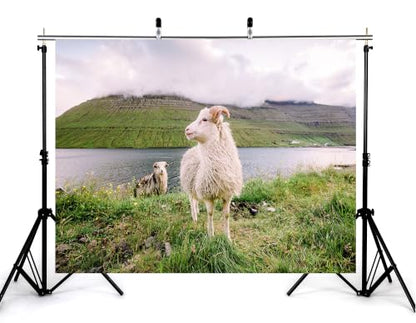5x3ft Fjord Sheep Backdrop White Wool Sheep Green Grass Lakeside Misty Stratified Mountain Photography Background Tapestry Party Nordic Pastoral Decorations Photo Booth Props - size: 5x3ft