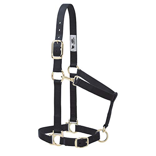 Weaver Equine Nylon Horse Halter, Padded and Adjustable, Chin and Throat Snap Hook Halters for Horses, Brass Plated Halters for Training - color: Black, size: 1" Average Horse