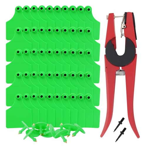 100 PCS Blank Cattle Ear Tags with Pliers TPU Flexible Livestock Identification Tags for Cow Sheep Goat Pig, Farm Animal Management Supply Kit (Green, Oversize-4 * 3") - color: Green, size: Oversize-4*3"