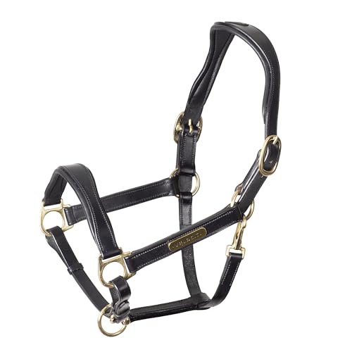 Shires Velociti Rapida Cushioned Leather Halter - color: Black, size: Pony
