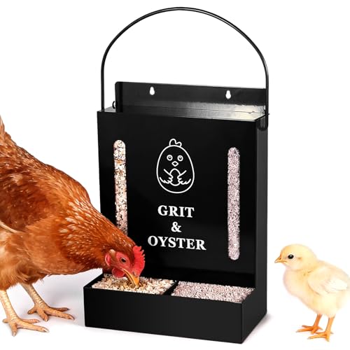 Oyster Shell and Grit Feeder Combo, Metal Chicken Feeder with Viewing Window/Lid, Hanging Gravity Chicken Grit Feeder, Coop Accessories for Healthier Hens and Eggs (Black) - color: Black