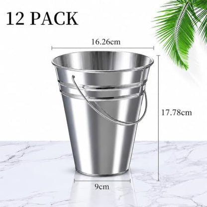 Sadnyy 12 Pack 6.4 X 3.54 X 7 inch Silver Metal Buckets - color: Silver, size: 6.4 x 3.54 x 7 in