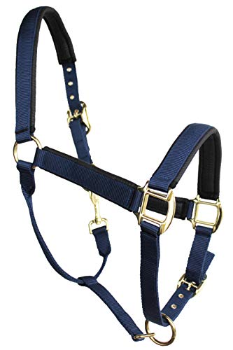 Nylon Horse Neoprene Padded Halter Brass Hardware Horse Tack Equine 606173 - color: Navy