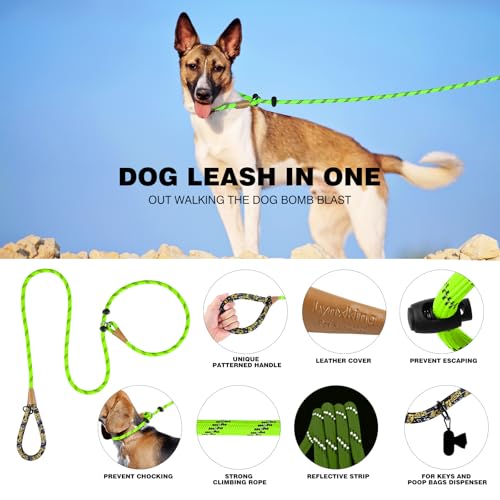 lynxking Dog Leash1/2in x 6ft Slip Lead Reflective Green and red, 2 Pack