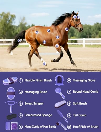 11-Piece Horse Grooming Kit with Waterproof Tote Sugar Taro - color: Sugar Taro