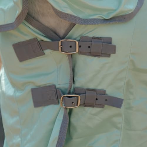Horse Fly Sheet with Removable Neck Cover & Belly Wrap, Fine Mesh - color: Green, size: 75