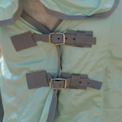 Horse Fly Sheet with Removable Neck Cover & Belly Wrap, Fine Mesh - color: Green, size: 75