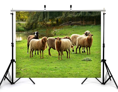 4x4ft Fabric Grassland Sheep Herd Backdrop Group of Wool Sheep Green Pasture Pond Forest Farm Scene Photography Background Tapestry for Farm Animal Decorations Photo Booth Props - size: 4x4ft