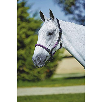 Kincade Leather Rope Halter, Hunter Green/Brown, Cob - color: Hunter Green/Brown, size: Cob