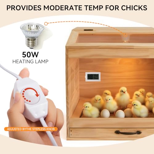 Brooder Box for Chicks, Wooden Chicken Brooder with Heat Lamp