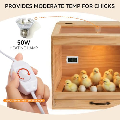 Brooder Box for Chicks, Wooden Chicken Brooder with Heat Lamp