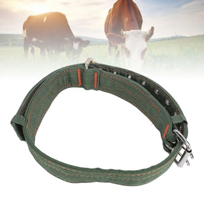 Cattle Collar, Nylon Thickened Heavy Duty Cow Show Collar with Metal Buckle and Traction Chain, Heavy Duty Cattle Show Collar Collar Thickened Neck Wrap for Horse Dog (Large Size)
