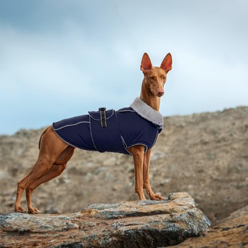 Lelepet Dog Jackets for Small Dogs Waterproof Dog Coat with Adjustable Fit - color: Navy Blue, size: S