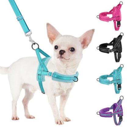 SlowTon No Pull Small Dog Harness and Leash Set with Front Clip | Soft Padded, Neck & Chest Adjustable, Lightweight, Anti-Twist, Puppy Vest Harness Pet Lead Combo for Small Medium Dog, TL S - color: Teal, size: Small