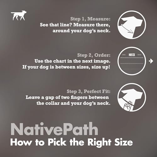 Tuff Pupper Premium Adjustable Dog Collar for Small Boy & Girl Dogs, Stylish Pattern Collars Designed in USA, Quick Release Buckle, NativePath Print, Small (0.7 Inch Wide x 8-12 Inch Neck) - color: NativePath, size: Small