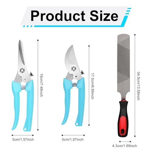 PEUTIER 3pcs Goat Hoof Trimmers and File, Nail Clippers for Goats Hoof Nippers Curved/Straight Head Sheep Hoof Trimming Shears Hoof Rasp Horseshoe File for Goat Sheep Lamb Pig Animal Hooves (Blue)